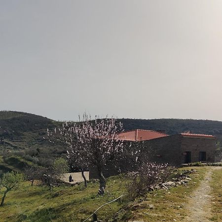 Eira Da Fraga Villa Vila Nova de Foz Coa Buitenkant foto